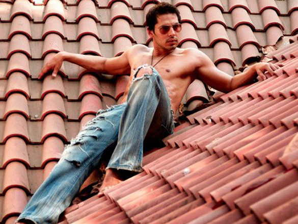 dino morea 15