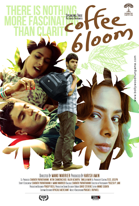 coffee bloom 2