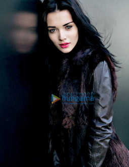 Celebrity Photo Of Amy Jackson