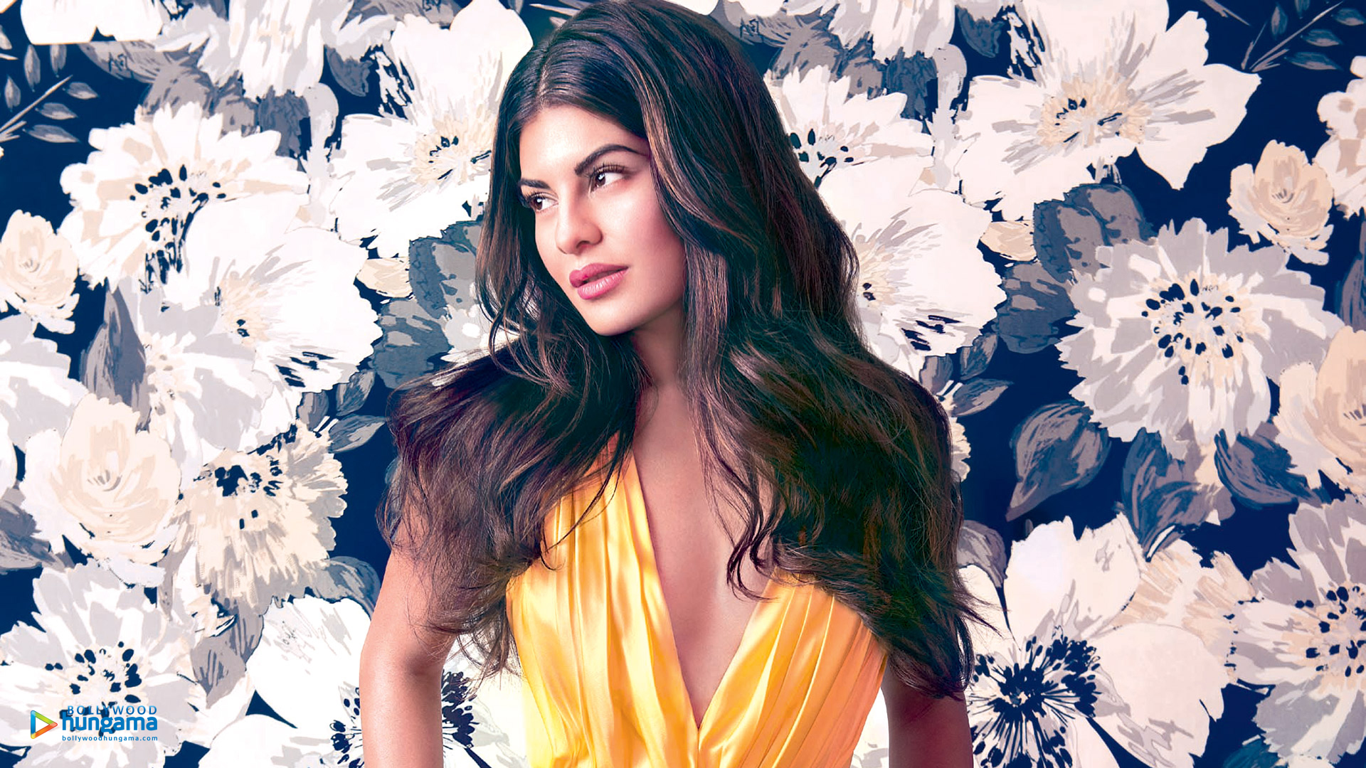 Jacqueline Fernandez Jacqueline Fernandez