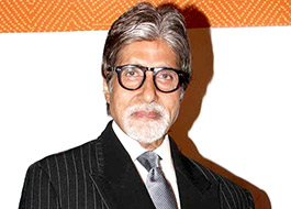 Amitabh Bachchan agrees to be the face of Save The Tiger campaign