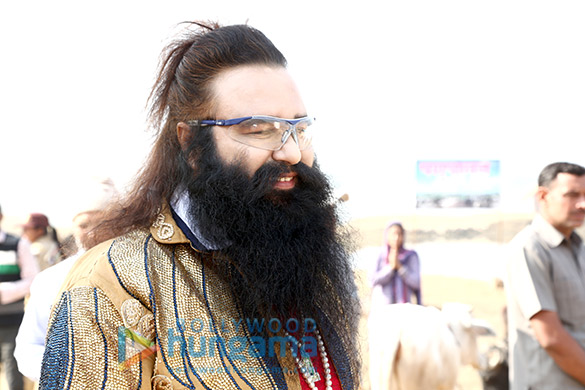 msg 2 the messenger 6