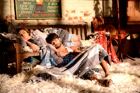 shaandaar 101