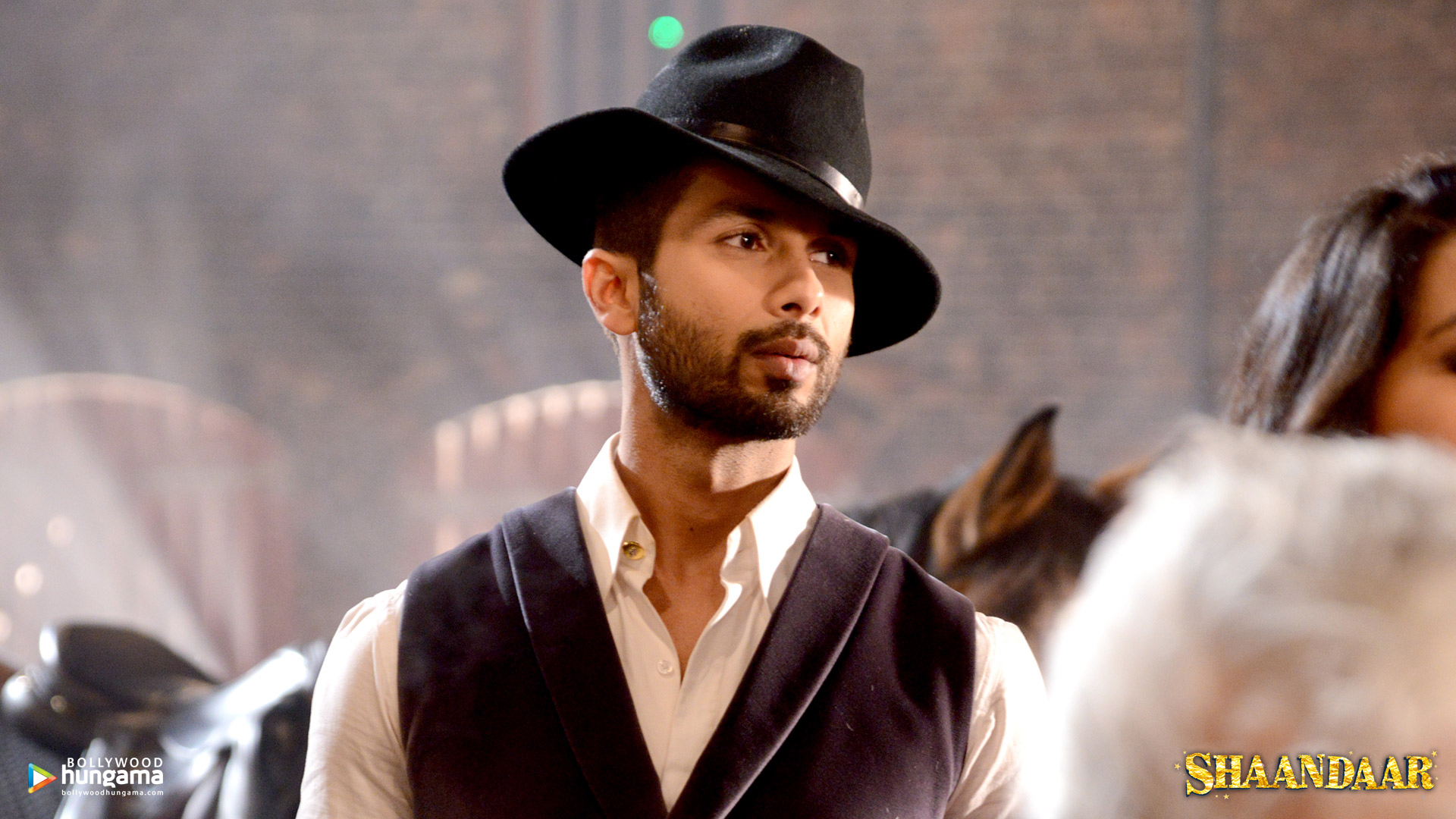 Shaandaar