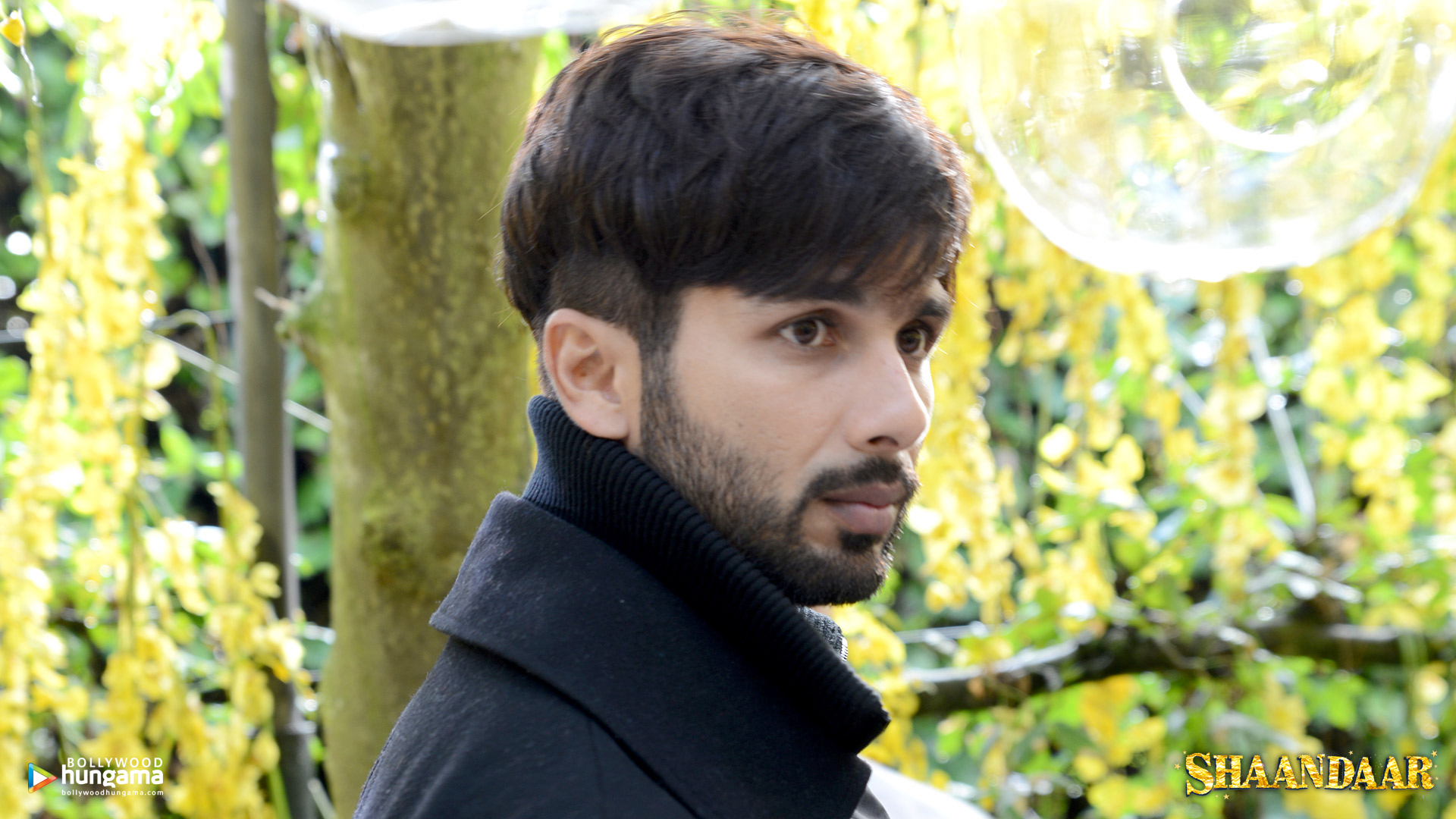 Shaandaar