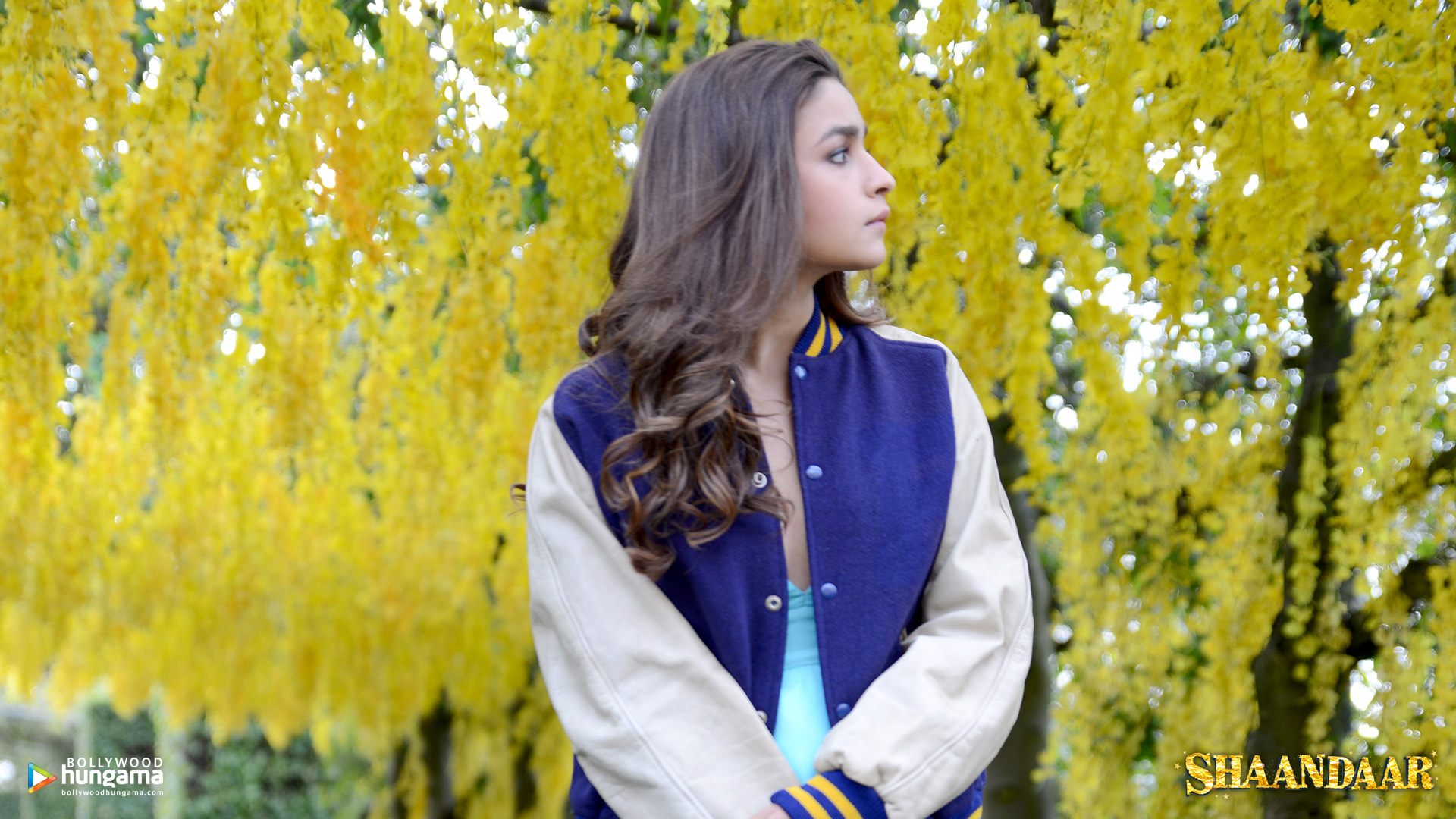 Shaandaar Shaandaar