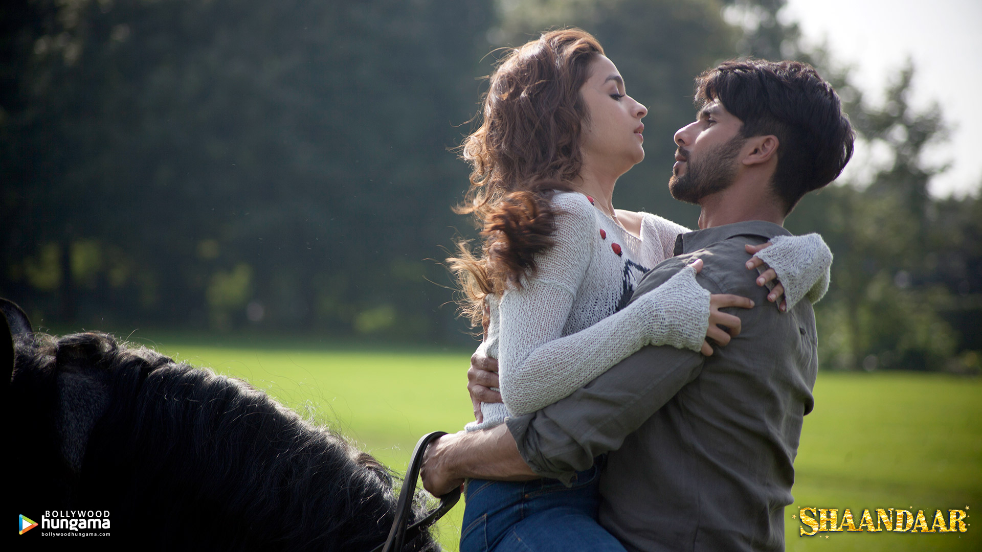 Shaandaar