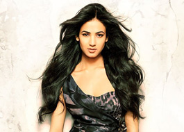 Sonal Chauhan fined by Mumbai Customs