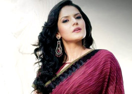 Zareen  Khan turns princess again
