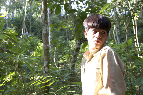 the forest 8