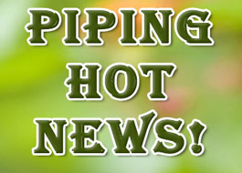 Piping Hot News!