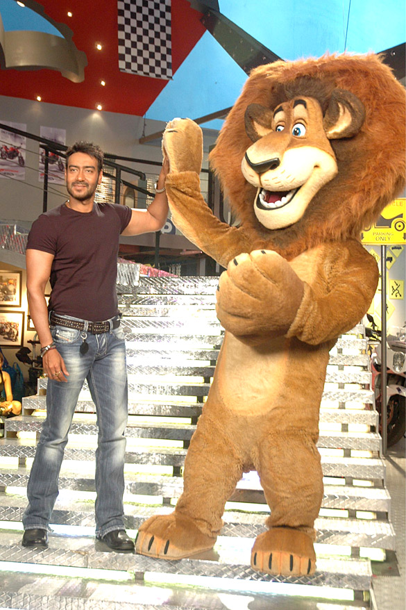 ajay devgn meets alex the lion on sets of son of sardaar 4