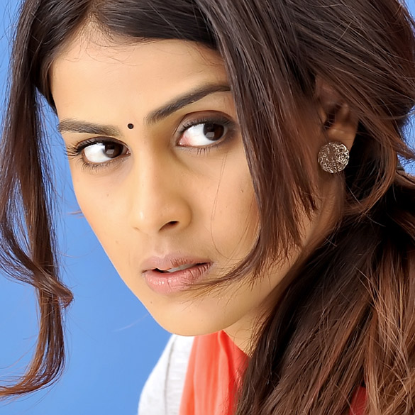 Celeb Photos Of Genelia D'Souza