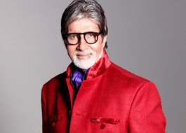 Bachchan to carry London Olympics torch