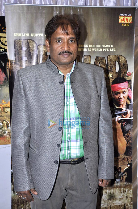 audio release of beehad the ravines 11