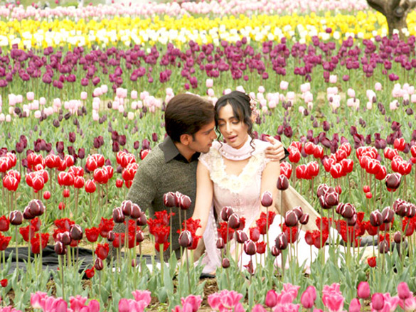 luv sinhaferena wazeir 13