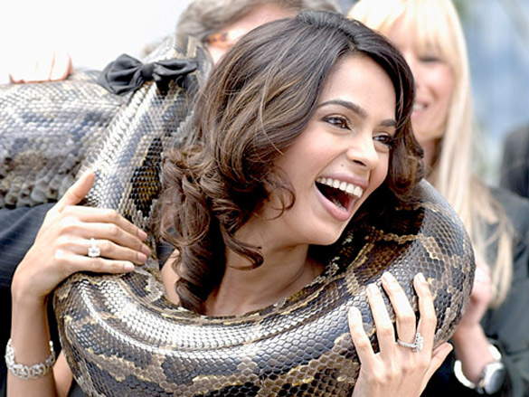 mallika sherawat attends the hissss photo call held at the hotel majestic during the 63rd annual international cannes film festival 13