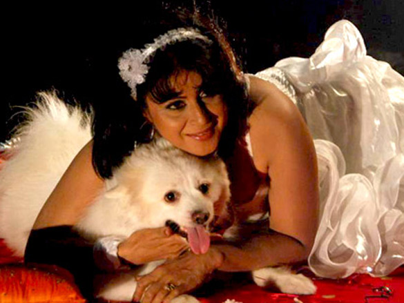 music video shoot with raja chaudhary and surbhi chaterjee 8