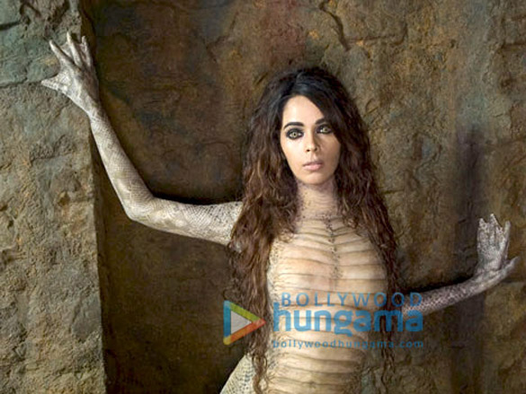 mallika sherawat 104