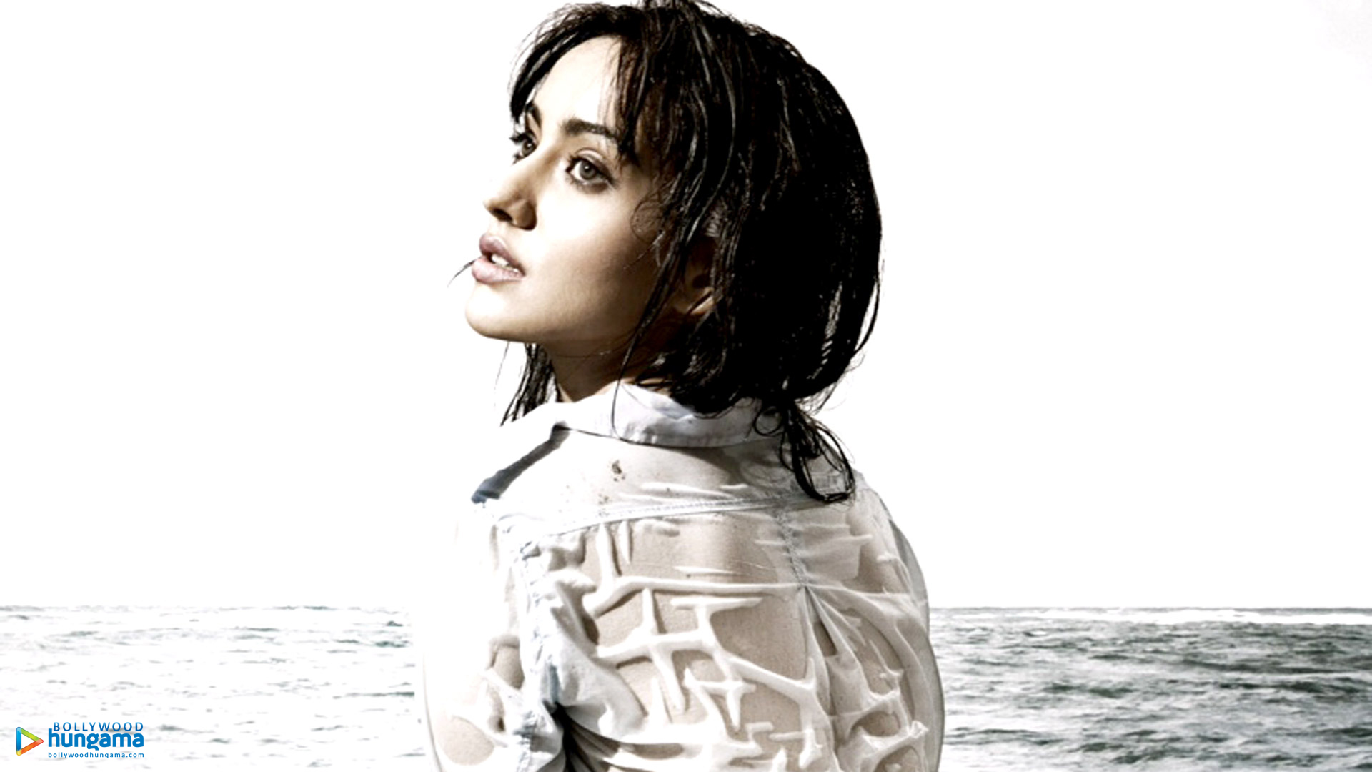 neha sharma 2022 wallpaper