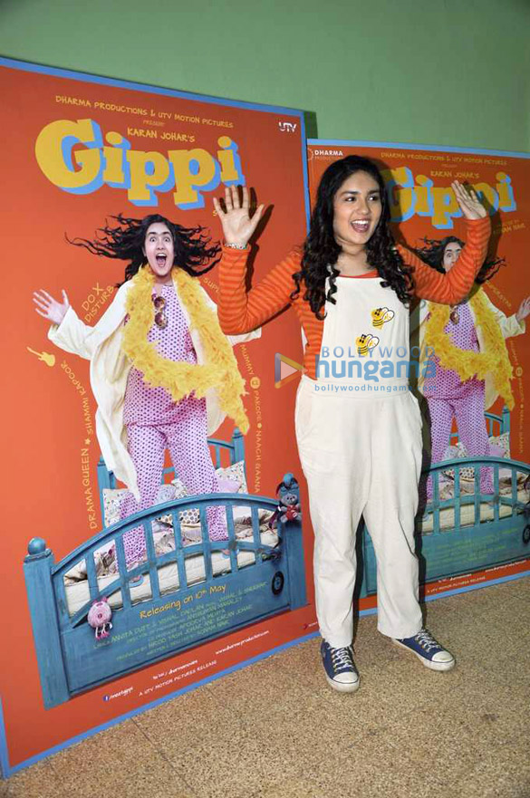 press meet of the film gippi 6