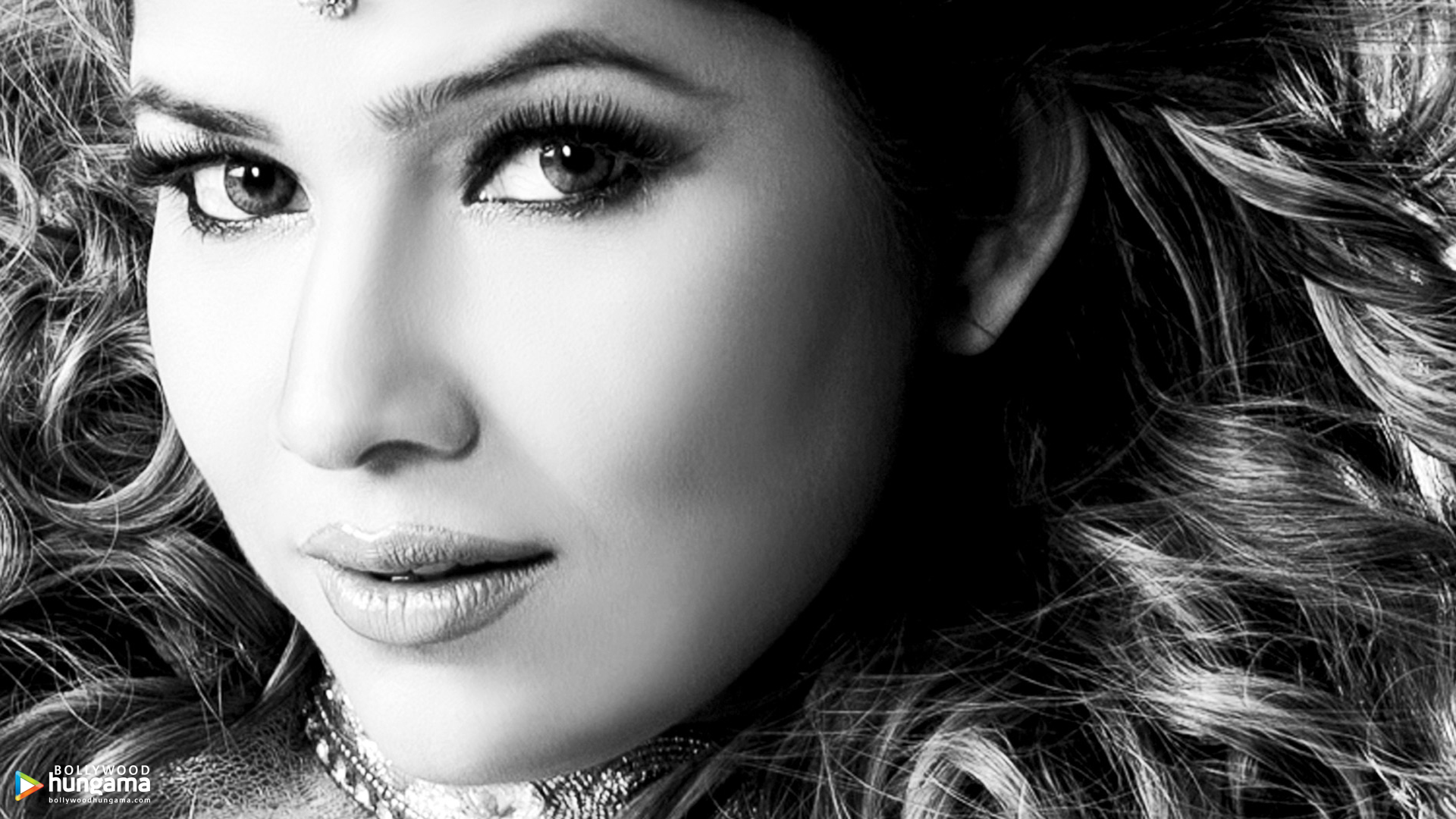 Tanisha Singh Tanisha Singh