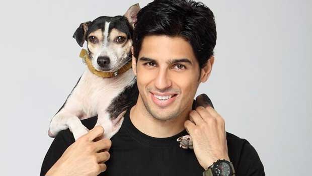Sidharth Malhotra’s Photoshoot For PETA India