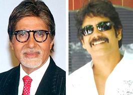 Big B to do cameo in Nagarjuna’s Telugu film Manam