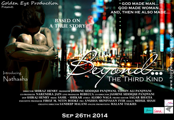 beyond the third kind 3