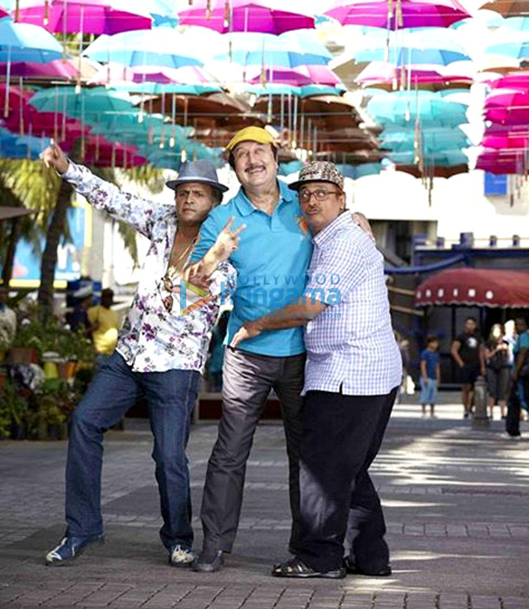 the shaukeens 66
