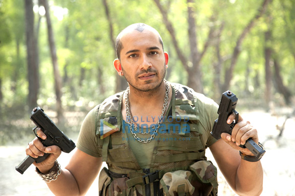 roar tigers of sunderbans 19
