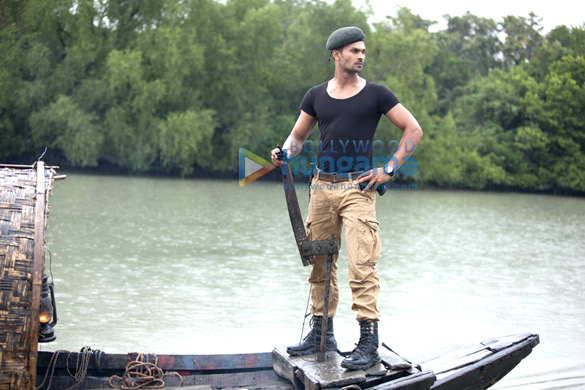 roar tigers of sunderbans 17
