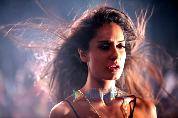 the shaukeens 88