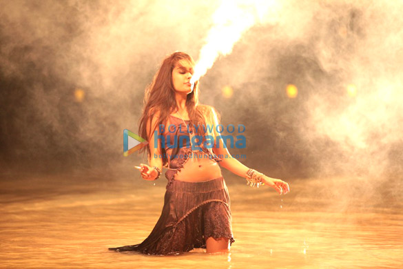 the shaukeens 93