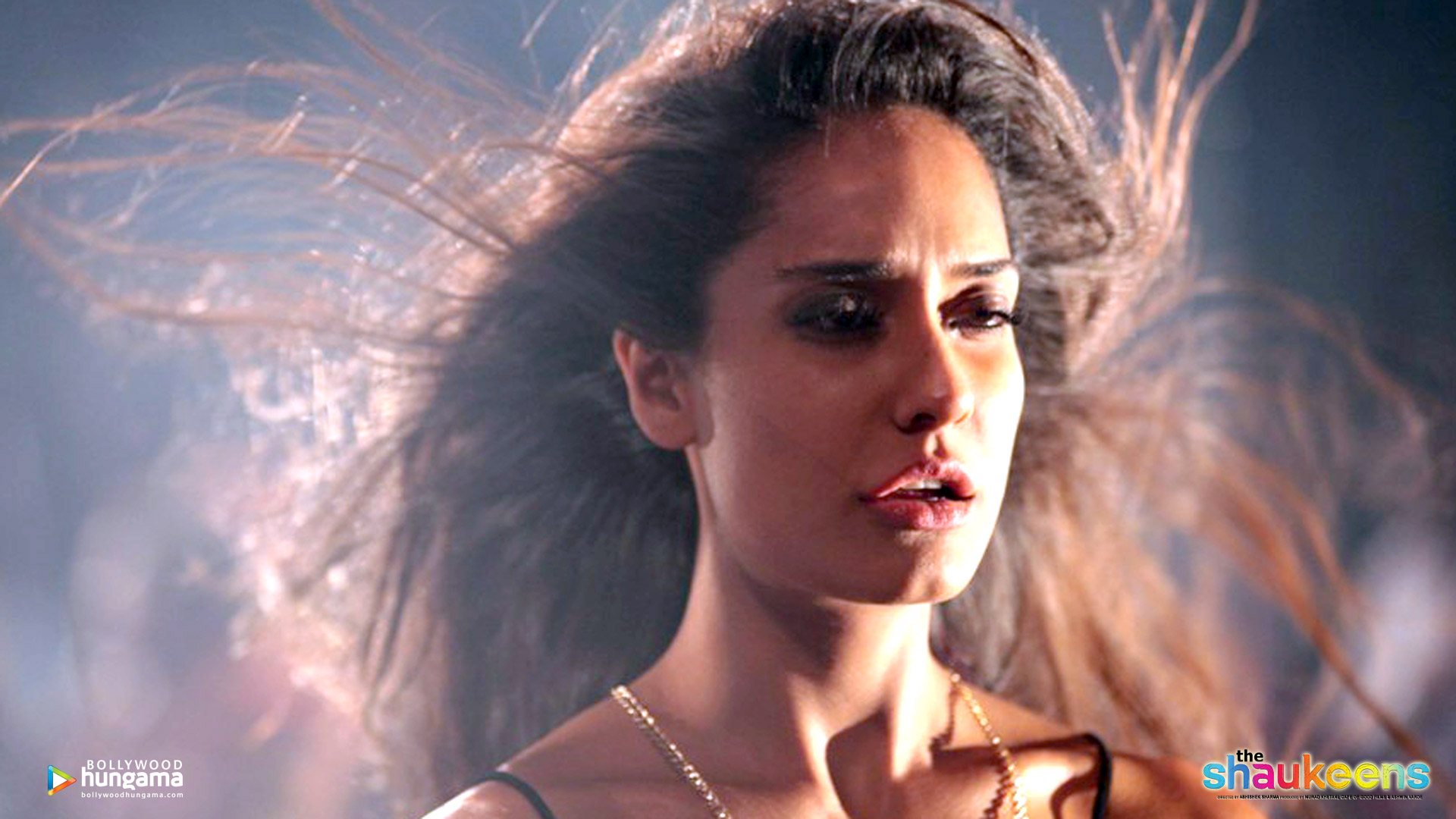 The Shaukeens The Shaukeens