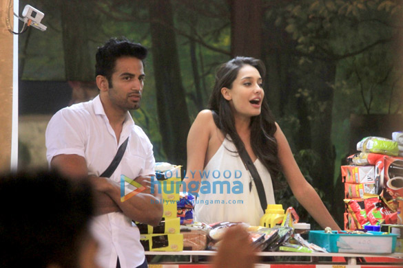 lisa haydon on bigg boss 8 3