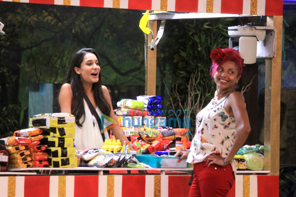 lisa haydon on bigg boss 8 5