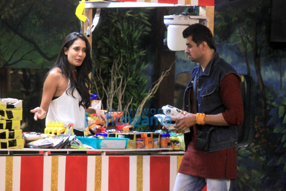 lisa haydon on bigg boss 8 10