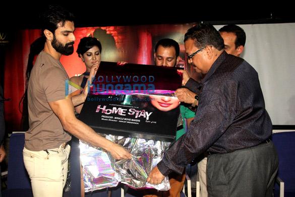 audio release of home stay stay alive 4