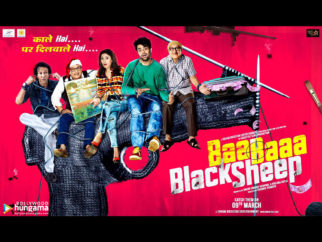 Wallpapers Of The Movie Baa Baaa Black Sheep