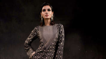 Celeb Wallpapers Of Diana Penty
