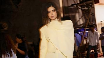 Celebrity wallpaper of Diana Penty