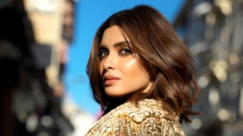 Celebrity wallpaper of Diana Penty