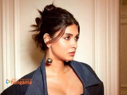 Celebrity wallpaper of Diana Penty