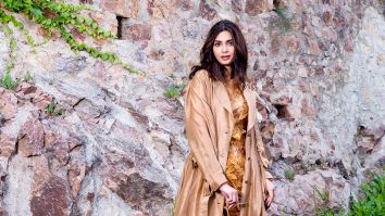 Celeb Wallpapers Of Diana Penty
