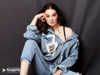 Celeb Wallpapers Of Evelyn Sharma
