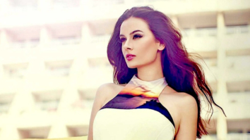 Celebrity Wallpapers of Evelyn Sharma
