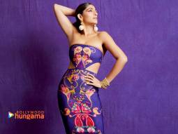 Celebrity wallpaper of Kubbra Sait