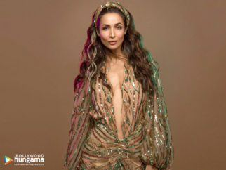 Celebrity wallpaper of Malaika Arora