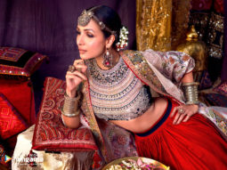 Celebrity wallpapers of Malaika Arora